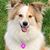 Kimberly Guercio's profile image