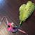 Shanda Suggs's profile image