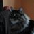Melissa L Robbins's profile image