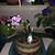 Suzie Purpura Byerly's profile image