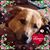 Kelly Cady-Sowers's profile image