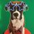 Bill Harris's profile image