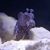 Rick Loughridge's profile image