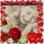 Lori Watson's profile image