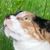 Nancy Heindorf's profile image
