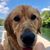 Rose Livengood's profile image