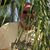 Denny Sweigart's profile image