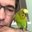 mathew murphy's profile image