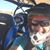 Chris Cothren's profile image
