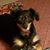 Mary Kaiser Brown's profile image