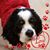 Jackie Preas's profile image