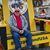 Rich Weigele's profile image