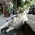Tracy Evans's profile image