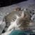 Lesley Foster's profile image