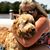 Rhonna Kerchevall's profile image