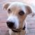 Lynda Hogan's profile image