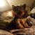 Holly Eubanks Duncan's profile image