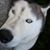 Troy Aikins's profile image