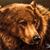Andrea Kubes Larson's profile image