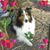 Cecilia Tyler's profile image