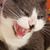 Laura Ferrell Marchant's profile image