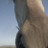 PatrickH's profile image