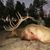 Jonathan Jackson's profile image