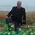 Jim Stanula's profile image