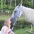 Lisa Lynne James's profile image