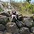 Jenny Lynn Wayman's profile image