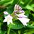 Cherryll Lynn Cooper's profile image