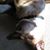 Bette Popik's profile image