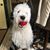 Mark Gilgallon's profile image