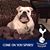 Andy Burrell's profile image