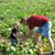 Tim Murphy's profile image