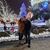 Jennifer Showalter's profile image