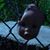 Alice Enola's profile image