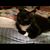 Tom Mohr's profile image