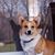 Michele Stevens's profile image