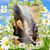 Rachel Meza's profile image