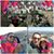 Cristina Roma's profile image