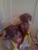 Mary S.'s profile image