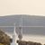 Colleen Cassidy Dionisio's profile image