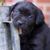 Mark Kirunchyk's profile image