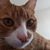 Joseph Babbitt's profile image