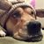 Colleen Bennett's profile image