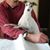 Tom Bellows's profile image