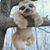 Shannon Davis's profile image