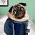 Stella Lud's profile image
