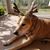 Cosmo Bunn's profile image
